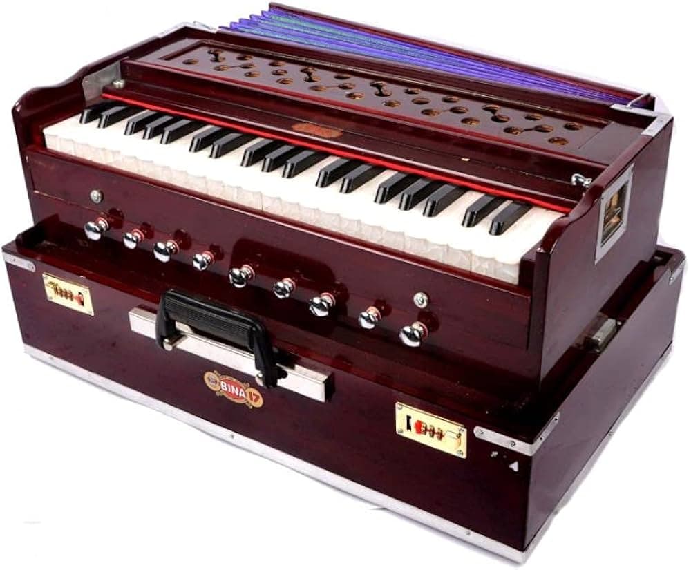 Harmonium indiano Bina No.17 — vista frontale con tastiera e registri